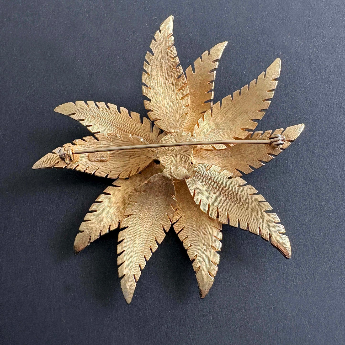 Gold-colored star-shaped brooch on a dark background