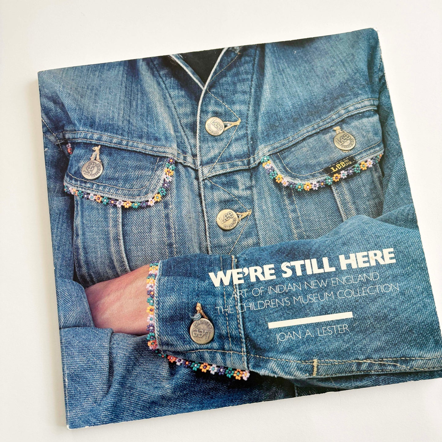 We’re Still Here: Art of Indian New England by Joan A. Lester
