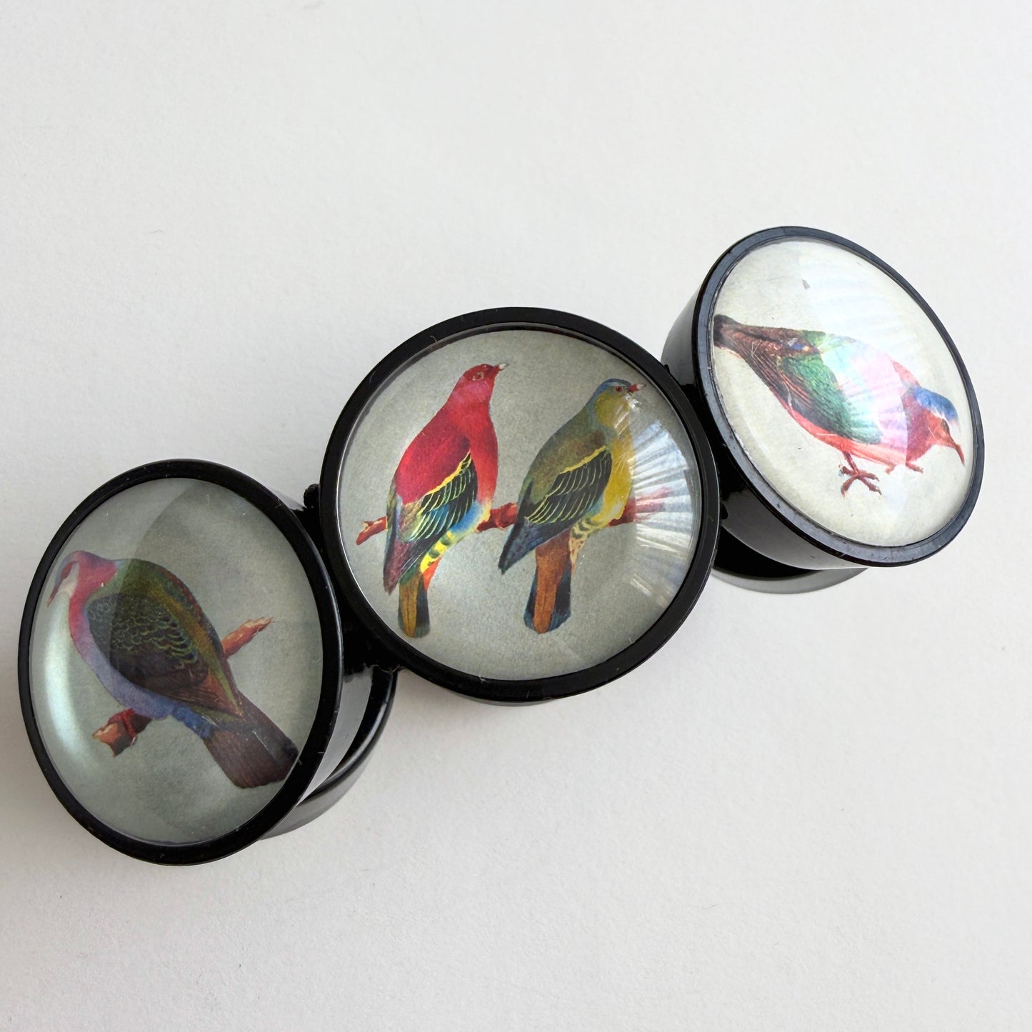 hotcakes black circular disks with colorful bird illustrations on a white background