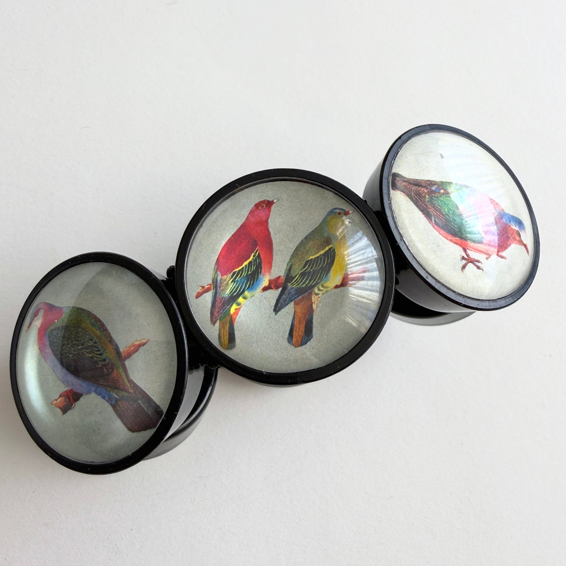 hotcakes black circular disks with colorful bird illustrations on a white background