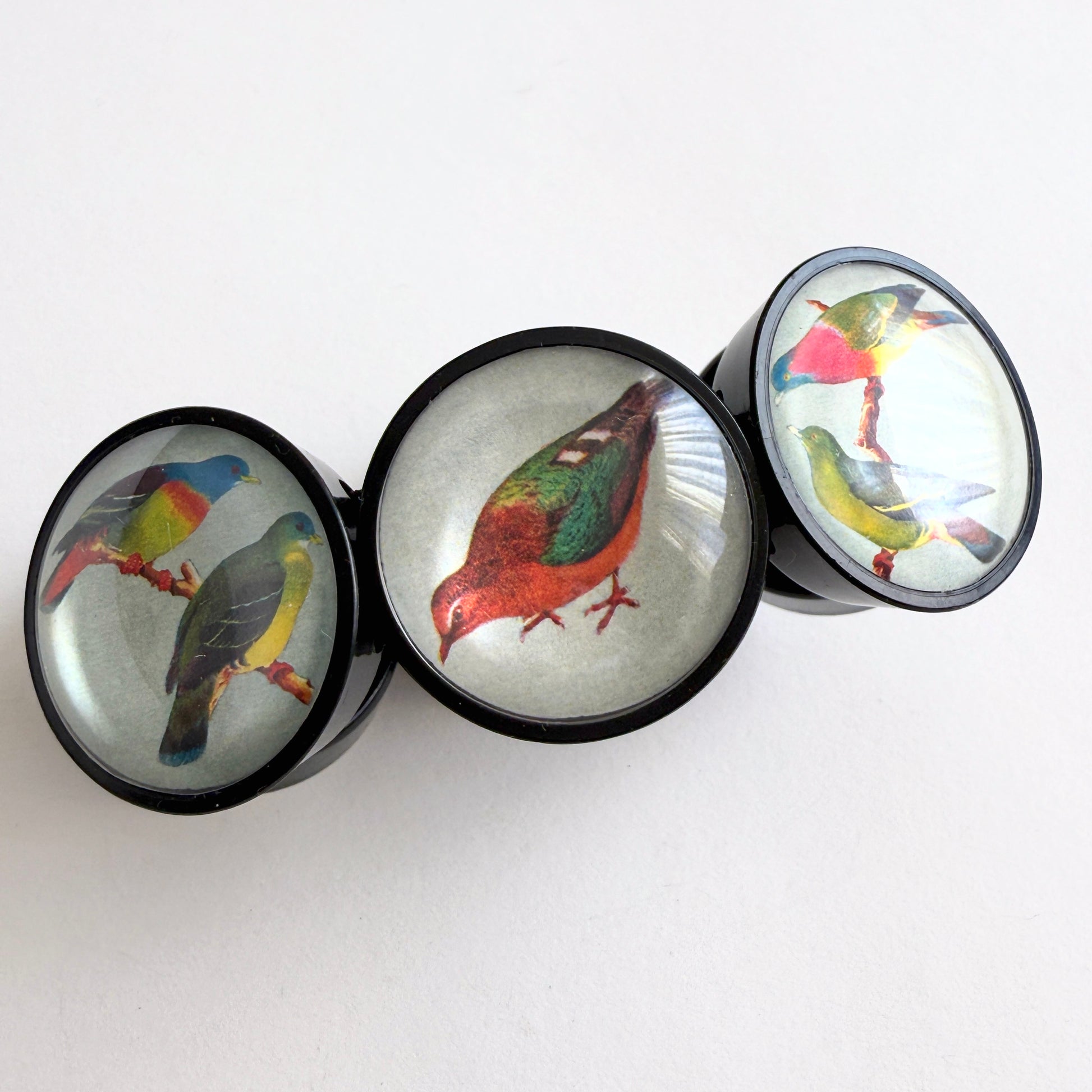 hotcakes black circular disks with colorful bird illustrations on a white background