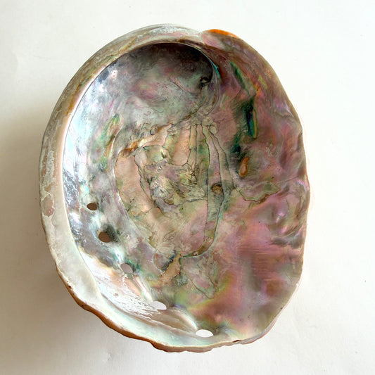 Top-down view of the 'Abyssal' Red Abalone footed bowl, showing vivid peacock iridescence in mint, rose, and violet.