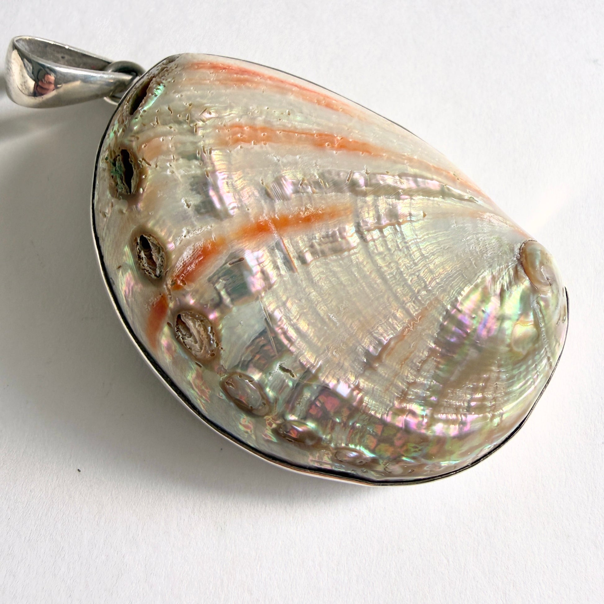 Close-up of the iridescent abalone surface, showing layers of sea-pearl, weathered grey, and flashes of emerald and coral.